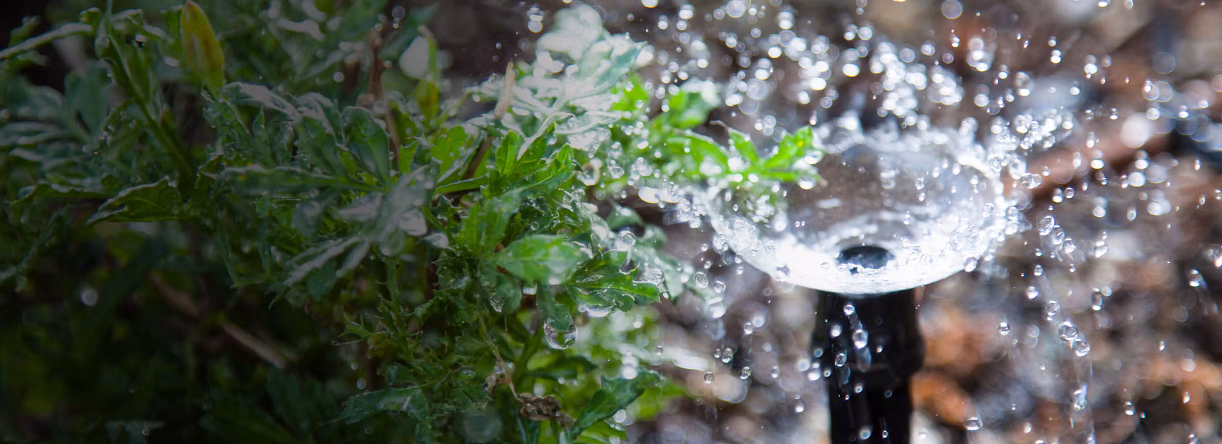 What Services Should You Expect from an Irrigation Company in Pretoria?