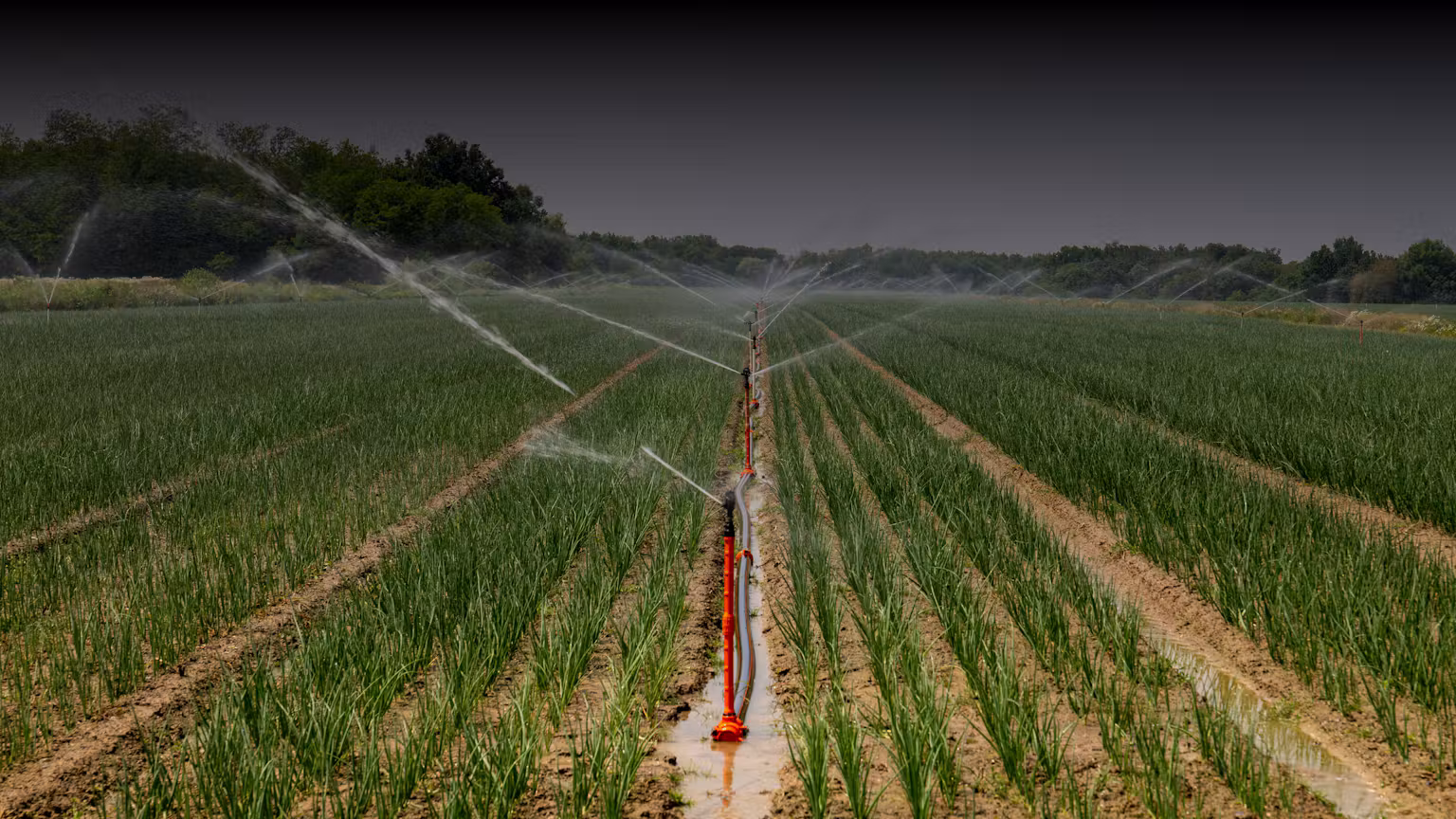 Prevent and Fix Leaks Promptly